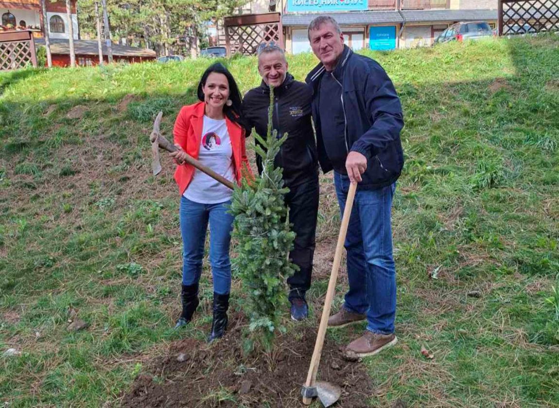 На ниво културе у Никшићу и на Златибору расте  Na fotografiji se nalaze osobe koje su zasadile drvo