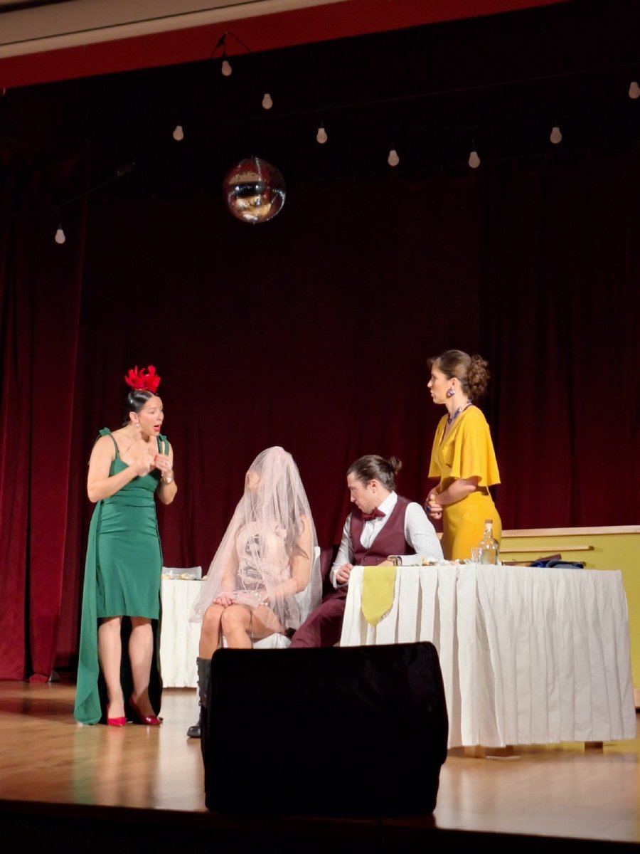 Виолина, даире и пегла  ,,Виолина, даире и пегла”