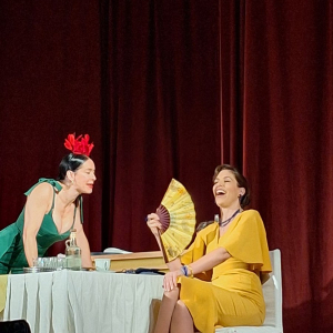 Виолина, даире и пегла  ,,Виолина, даире и пегла”