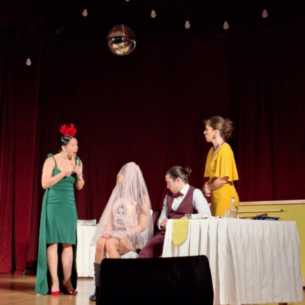  ,,Виолина, даире и пегла” 